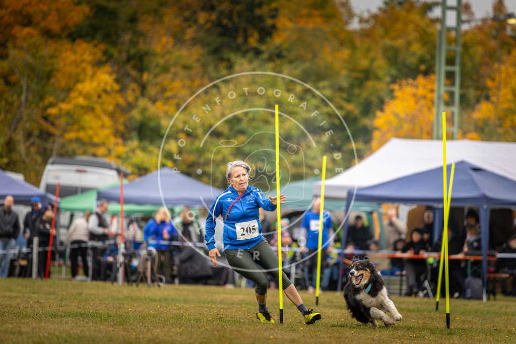 Pfotenfotografie_DV3A2092 | Hundefotografie, Tierfotograf, Pfotenfotografie, Fotoshooting Hund, Hunde Portrait, Hundesport, Hundeportraits, Heideshooting, Hunde, Sportfotograf, Hundefotograf, Turnierhundsport, THS,  - Realisiert mit Pictrs.com