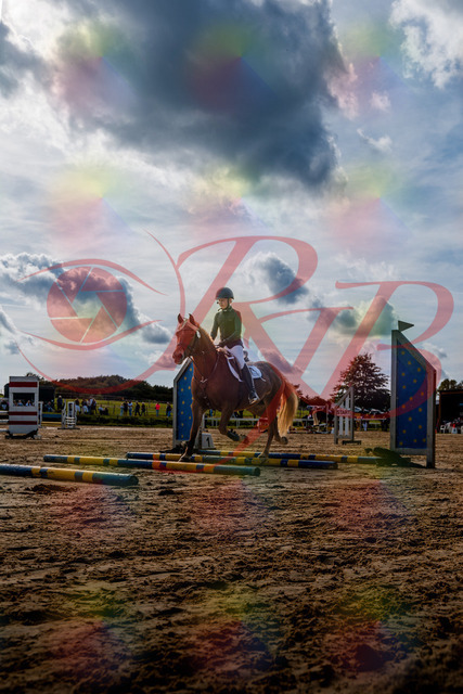 2026_10_03_Siefer-Hof_144547_Z63_05421908 | Professionelle Reitsport-, Turnier- und Eventfotografie von Robert Broda. Galerien mit ausgewählten und bearbeiteten Bildern direkt online ansehen und bestellen.