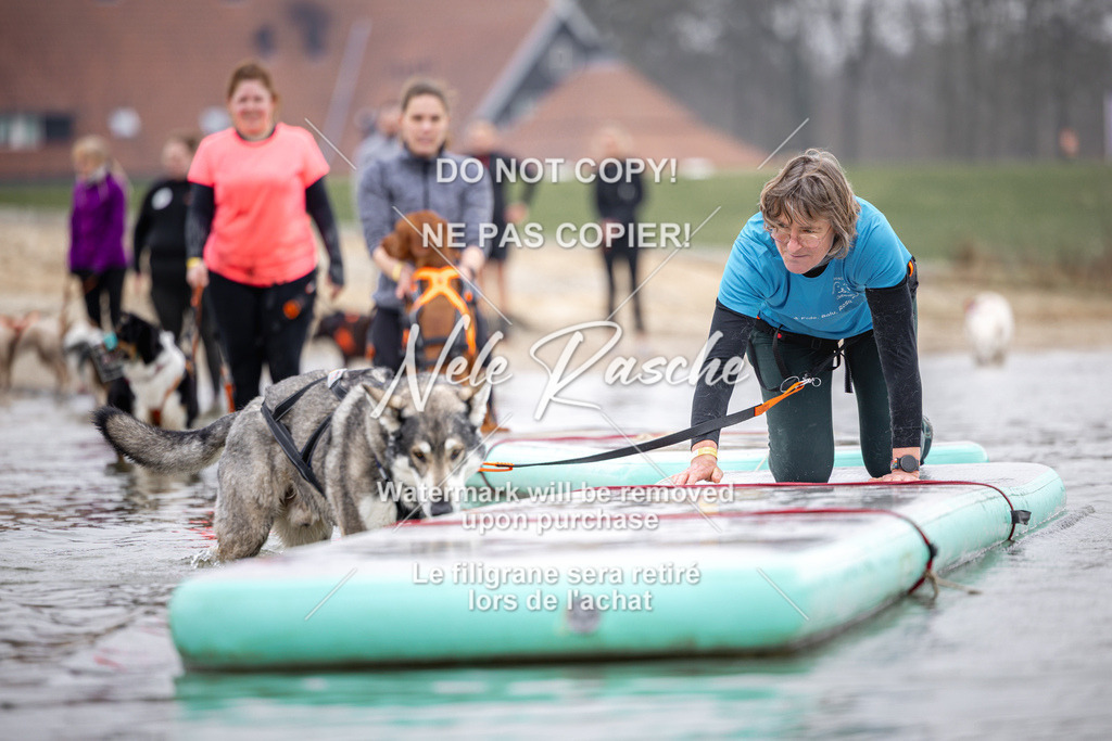 nelerasche_Hulsbeek_Sa1100-1130_742 | nelerasche