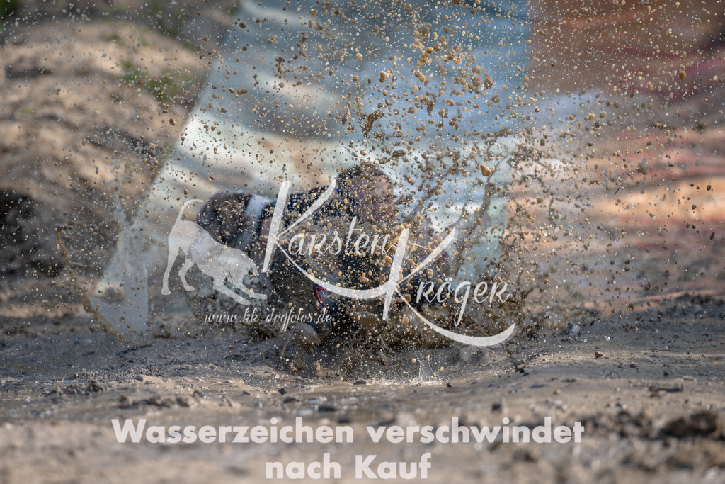 0942_ZZ96118 | kk-dogfotos