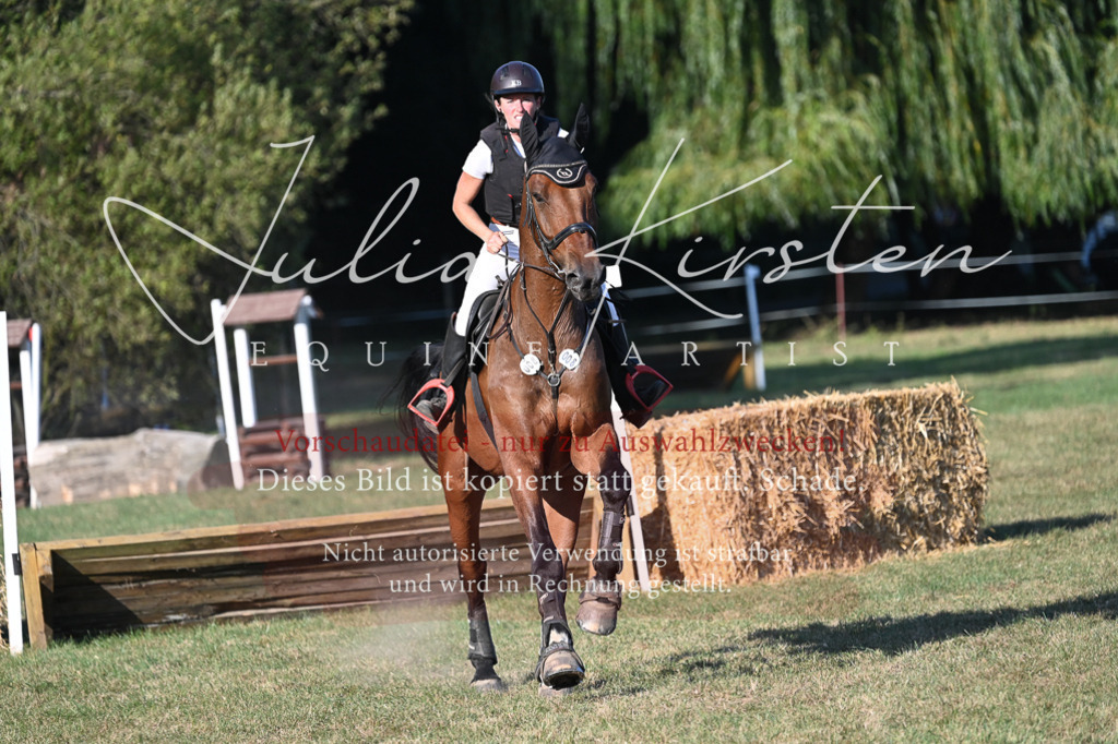 DSC_9035 | Pferde- und Turnierfotografie in Westsachsen. Pferdeportraits, Auftragszeichnungen und intuitive Kunst.