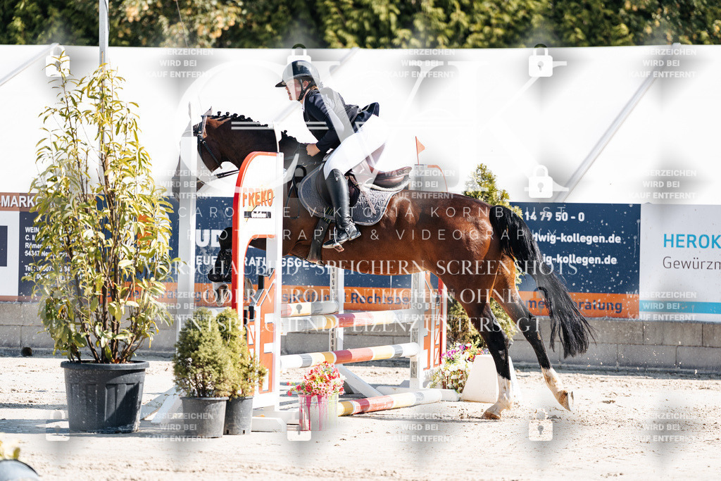 CK905243 | Turnierfotografie Pferdefotografie Trier Rheinland-Pfalz Pferdesport Reitsport Tierfotografie Sportfotografie Pferdevideo Pferdevideografie Equestrianvideography equestrianphotography  - Realisiert mit Pictrs.com