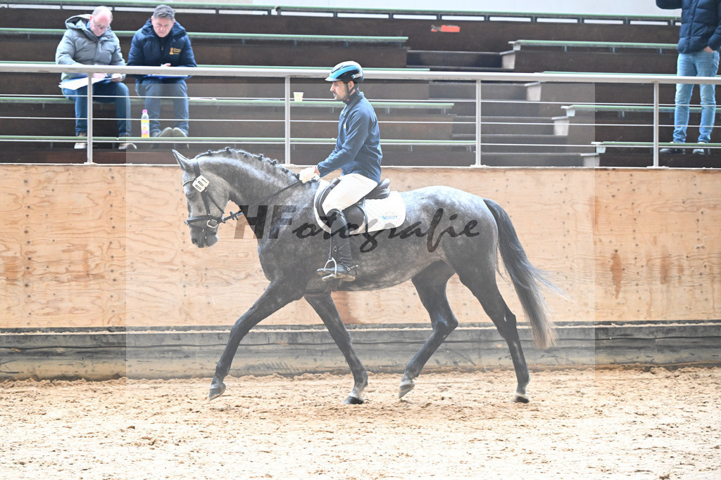 Kat-Nr. 1 Caramia v. Castino_Riepertinger_50250212 | hf-fotografie - Realisiert mit Pictrs.com