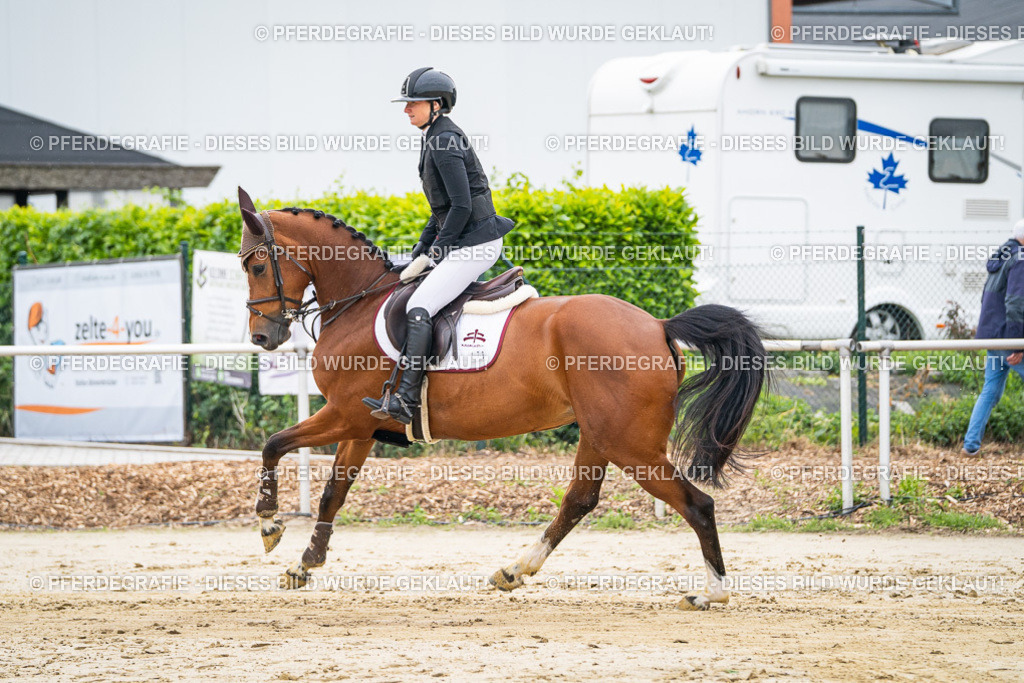 DSC09393 | Pferdegrafie