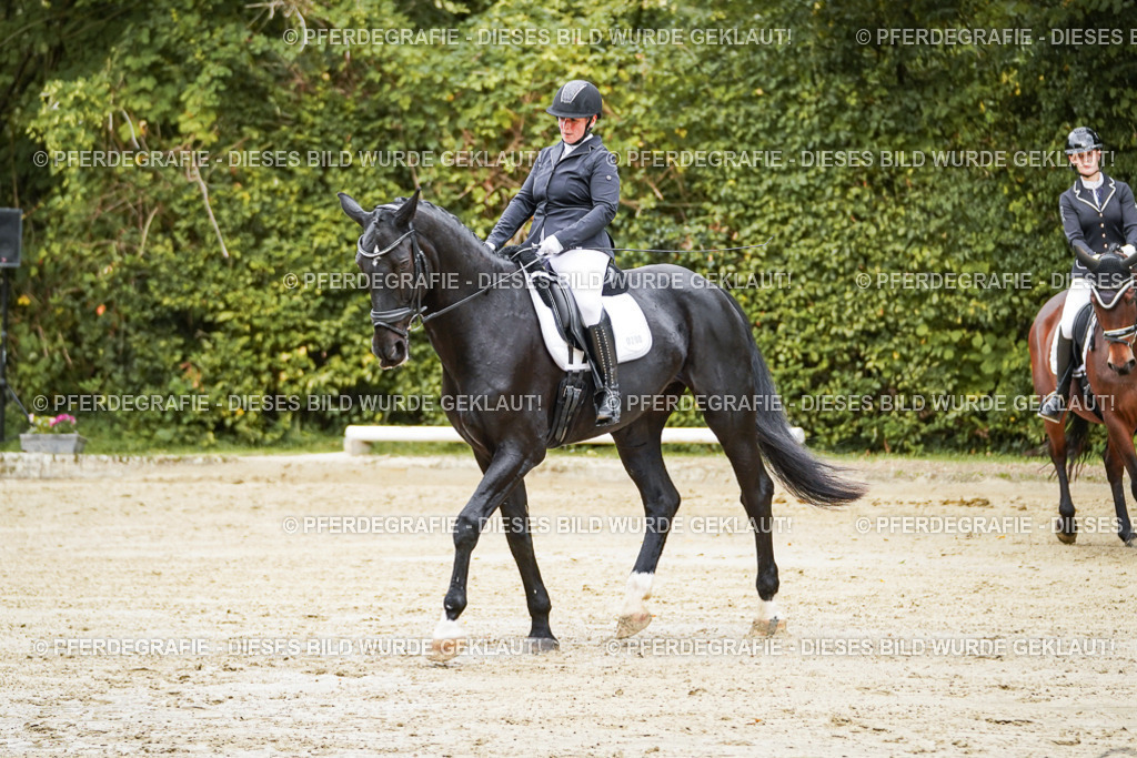 DSC08750 | Pferdegrafie