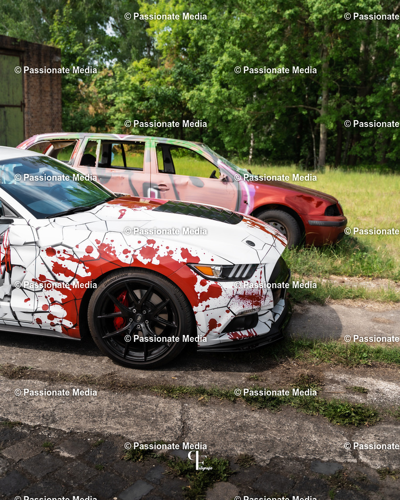 DSC04870 | Passionate Media, dein Fotograf aus Brandenburg, Märkisch Oderland, im Bereich Motorsport, Autos und Motorräder sowie Events und auch Hunde. Shootings oder auch Eventbegleitungen können bei mir gebucht we