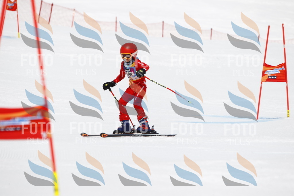 _U3G7213 | holidayphoto