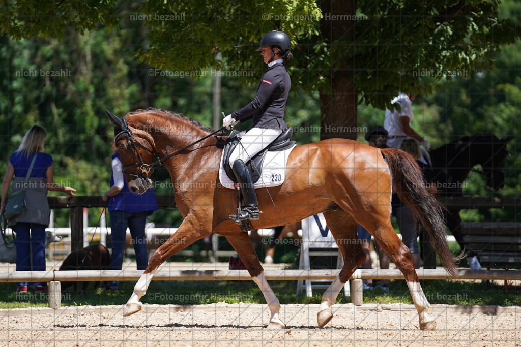 20240705-FAH03607 | Turnierbilder von Grafing, Reitsportbilder, Turnierfotos, Turnierfotografen Bayern, Pferdefotograf, Fotoagentur Herrmann