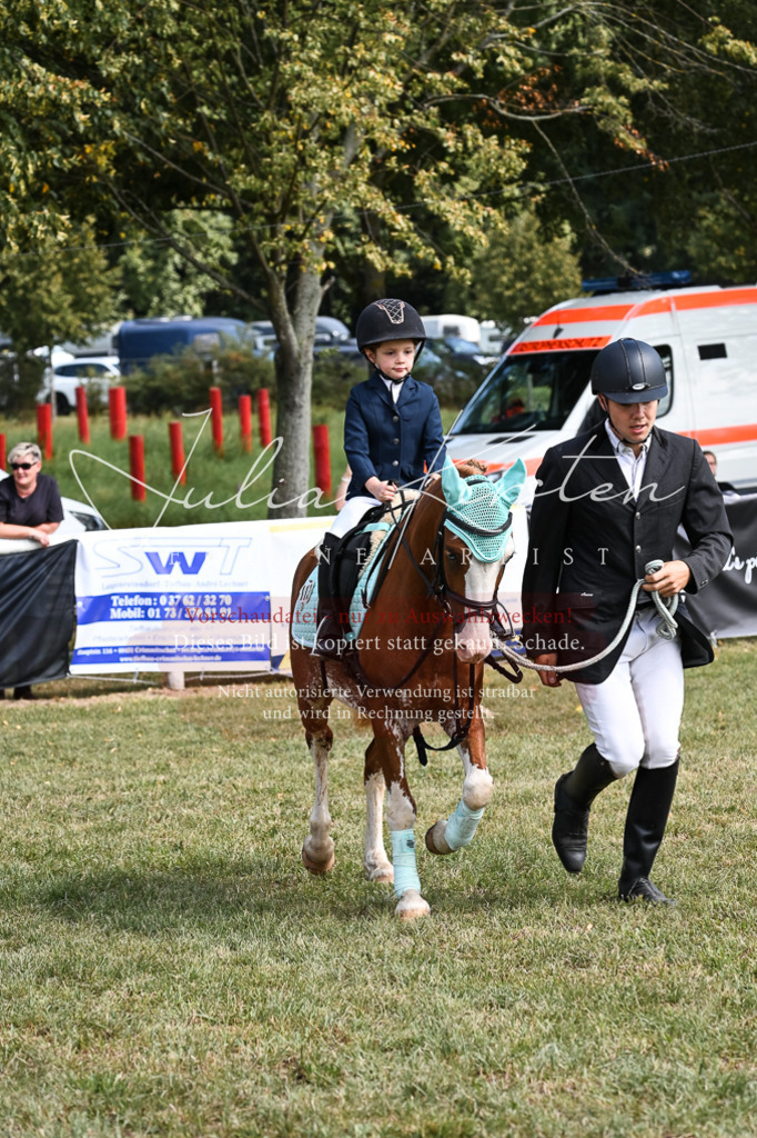 DSC_6862 | Pferde- und Turnierfotografie in Westsachsen. Pferdeportraits, Auftragszeichnungen und intuitive Kunst.