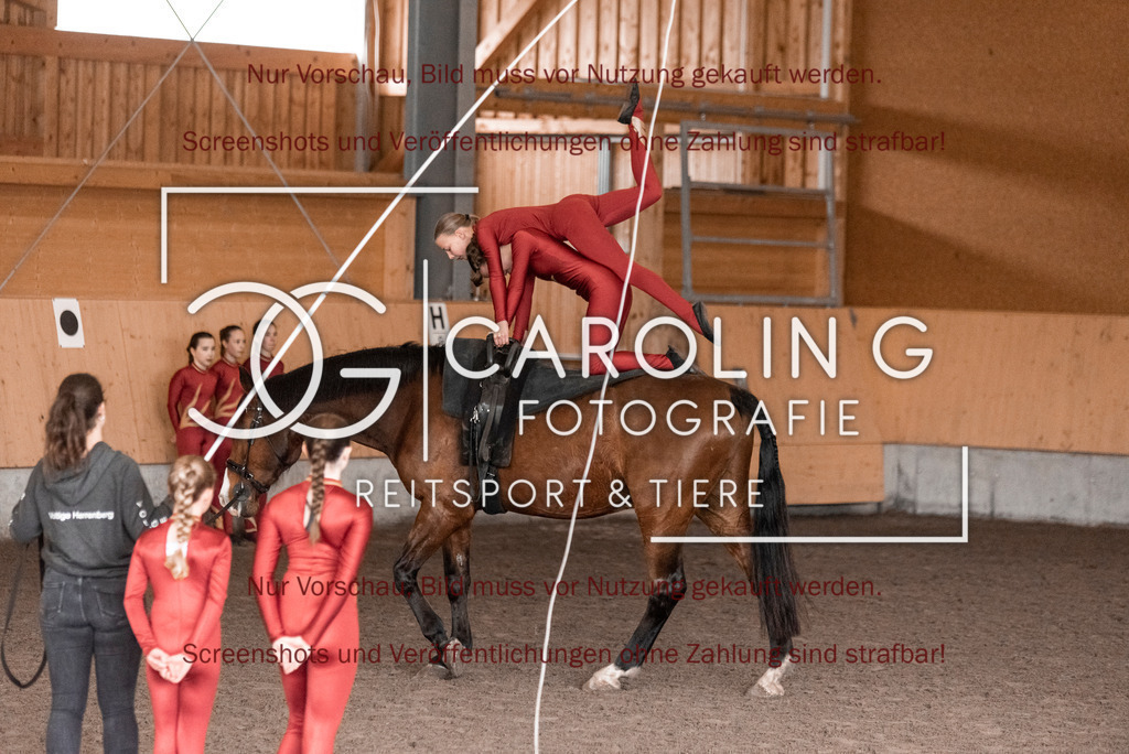 DSC_2092 | Turnierfotografin Carolin Gieschke,Reitsport Turnierfotografie Carolin G Fotografie | Turnierfotos aus Kirchheim/Teck, Esslingen, Stuttgart und dem Bodenseekreis