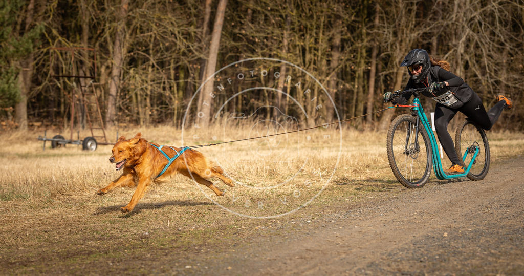 DV3A4755 | Hundefotografie, Tierfotograf, Pfotenfotografie, Fotoshooting Hund, Hunde Portrait, Hundesport, Hundeportraits, Heideshooting, Hunde, Sportfotograf, Hundefotograf, Turnierhundsport, THS,  - Realisiert mit Pictrs.com