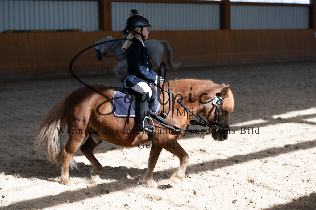 A7V02125 | Turnier/Reitfotograf