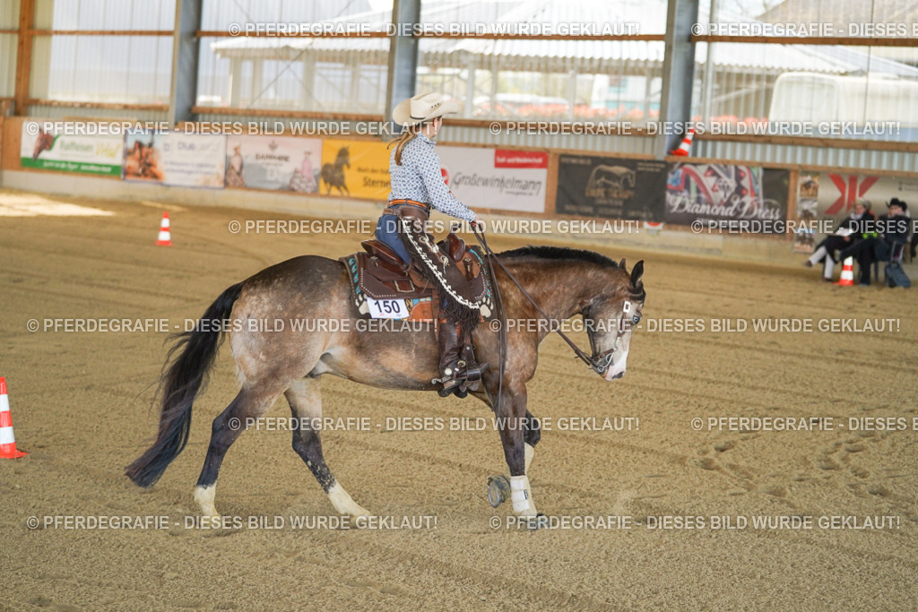 DSC00141 | Pferdegrafie