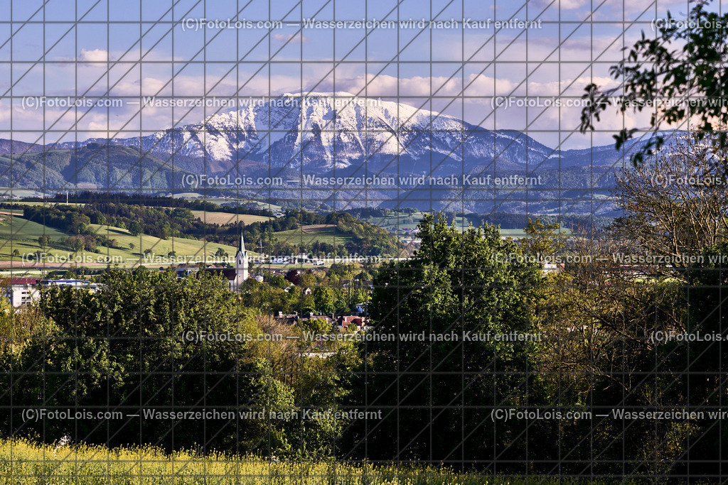 ALP4465_Wieselburg-weisser Oetscher | (C)FotoLois.com, Alois Spandl. WIESELBURG im Frühling, Fr 26. April 2024.