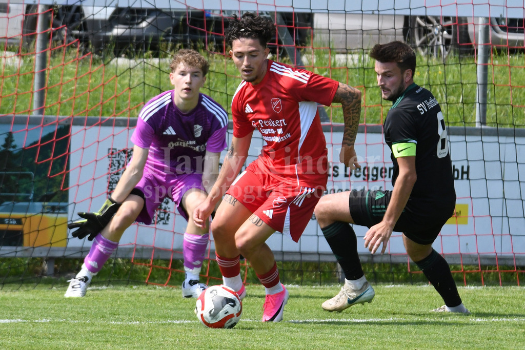 TSV Seebach 2026/27 | Michael Dietl  (TSV Seebach #11) - Realisiert mit Pictrs.com