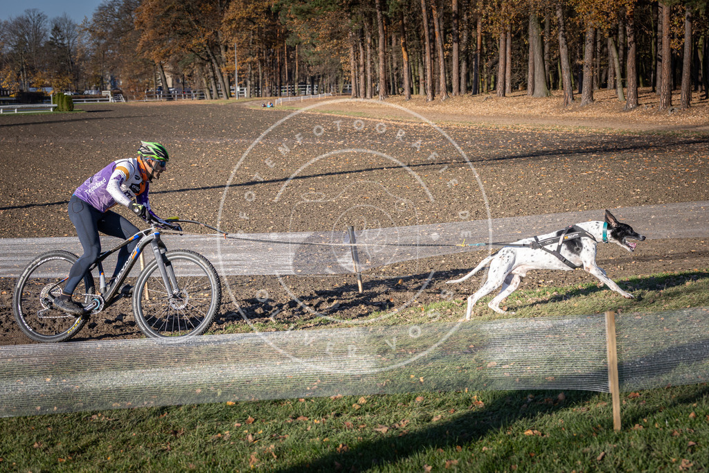CaniXpix_DV3A2497 | Hundefotografie, Tierfotograf, Pfotenfotografie, Fotoshooting Hund, Hunde Portrait, Hundesport, Hundeportraits, Heideshooting, Hunde, Sportfotograf, Hundefotograf, Turnierhundsport, THS,  - Realisiert mit Pictrs.com