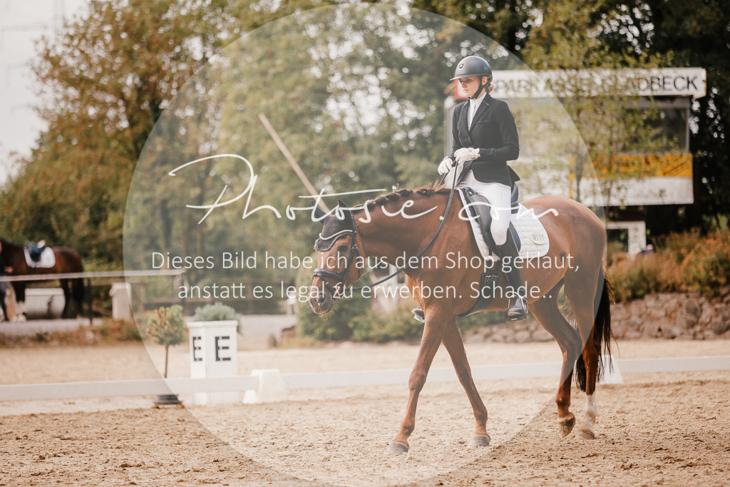 3I6A6231 | Stimmungsvolle Portraits und Reitsportfotografie im Ruhrgebiet und im Münsterland.

Pferdefotografie, Hundefotografie, Tierfotografie, Reportagen, Portraits von Tier und Mensch, Turnierfotografie in Bochum, Recklinghausen, Marl, Haltern am See, Dülmen.. - Realisiert mit Pictrs.com
