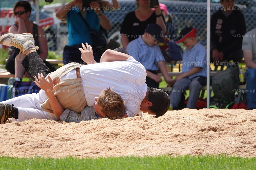 DSC04365 | Schwingen - Realisiert mit Pictrs.com