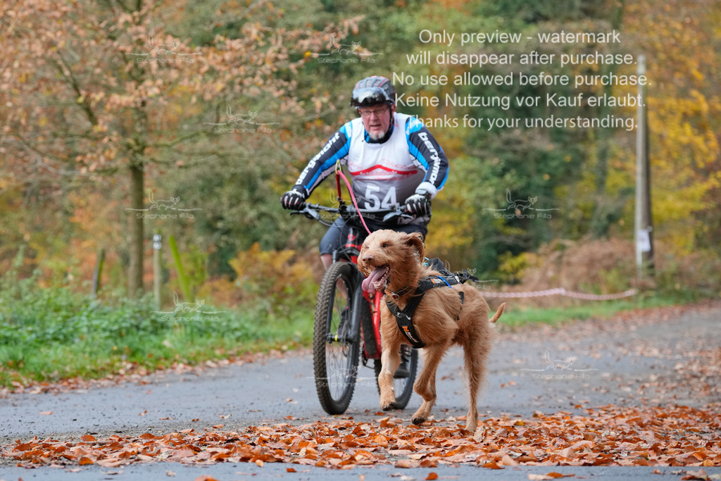 Bike_So-168 | stephaniefillaphotographie - Realisiert mit Pictrs.com