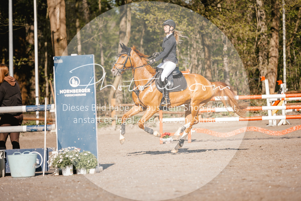 3I6A3627 | Stimmungsvolle Portraits und Reitsportfotografie im Ruhrgebiet und im Münsterland.

Pferdefotografie, Hundefotografie, Tierfotografie, Reportagen, Portraits von Tier und Mensch, Turnierfotografie in Bochum, Recklinghausen, Marl, Haltern am See, Dülmen.. - Realisiert mit Pictrs.com