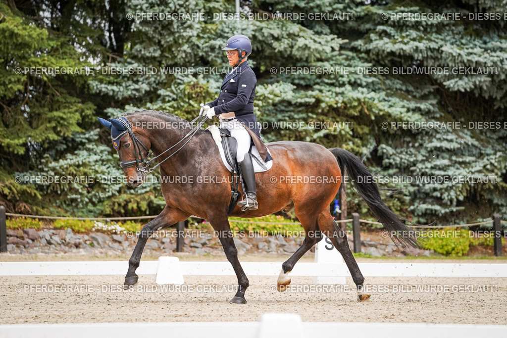 DSC04990 | Pferdegrafie