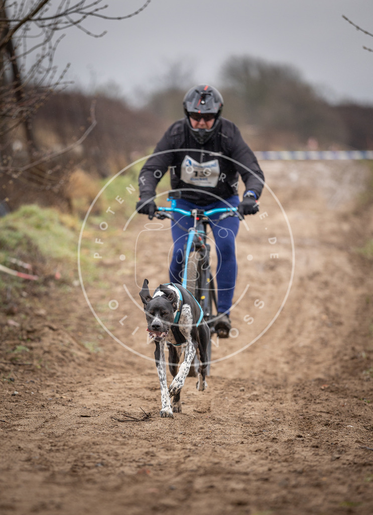 DV3A8946 | Hundefotografie, Tierfotograf, Pfotenfotografie, Fotoshooting Hund, Hunde Portrait, Hundesport, Hundeportraits, Heideshooting, Hunde, Sportfotograf, Hundefotograf, Turnierhundsport, THS,  - Realisiert mit Pictrs.com