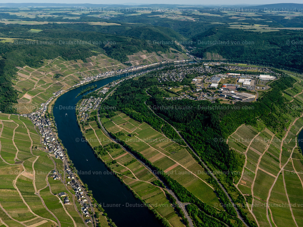 3114382 | Weinberge und Mosel bei Merl