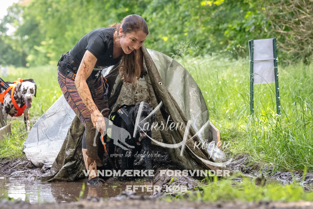 1149_ZZ94802 | kk-dogfotos