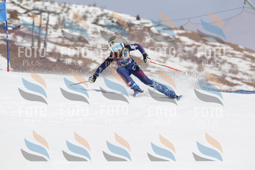 _U3G1413 | holidayphoto