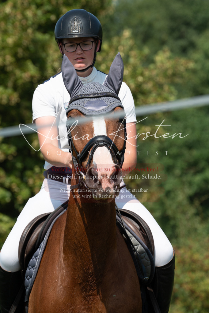 DSC_0833 | Pferde- und Turnierfotografie in Westsachsen. Pferdeportraits, Auftragszeichnungen und intuitive Kunst.
