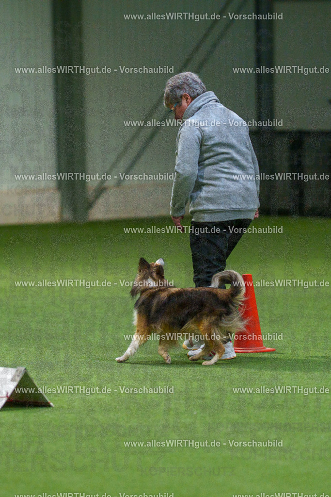 7R504844 | Professionelle Tierfotografie in Mönchengladbach von Daniel Wirth (allesWIRTHgut). Liebevolle & natürliche Bilder von Hunden & Katzen für unvergessliche Erinnerungen.