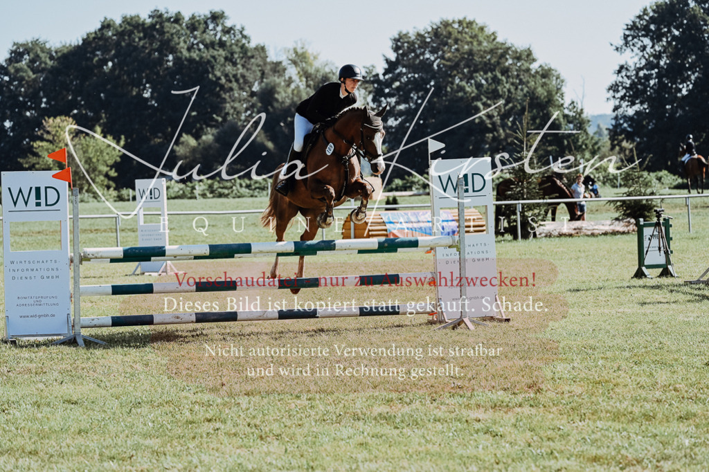 DSC_5398 | Pferde- und Turnierfotografie in Westsachsen. Pferdeportraits, Auftragszeichnungen und intuitive Kunst.