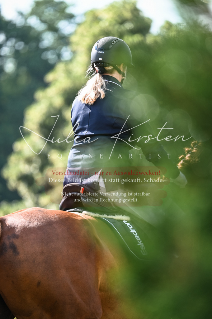 DSC_7743 | Pferde- und Turnierfotografie in Westsachsen. Pferdeportraits, Auftragszeichnungen und intuitive Kunst.
