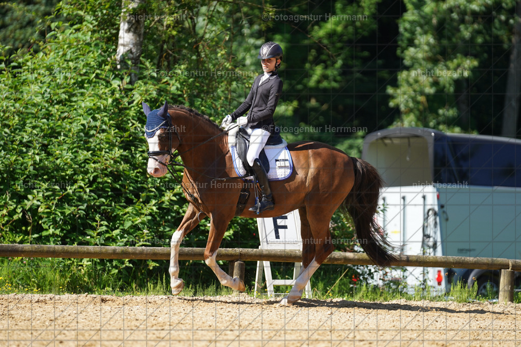 20240706-FAH04705 | Grafing Turnierfotos, Reitverein Ebersberg, Turnierfotografen Bayern, reitsportbilder, Pferdefotograf, reitsportfotograf, Sportbilder, Reitsportfotografie, Fotoagentur Herrmann, Turnierfotograf