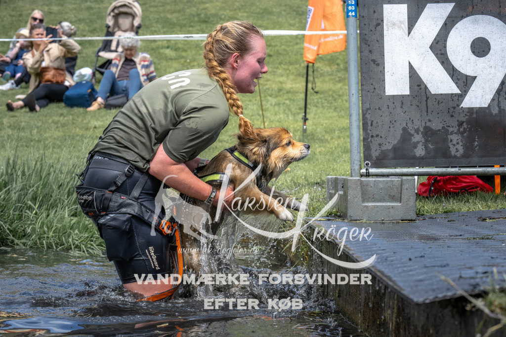 1126_ZZ92137 | kk-dogfotos