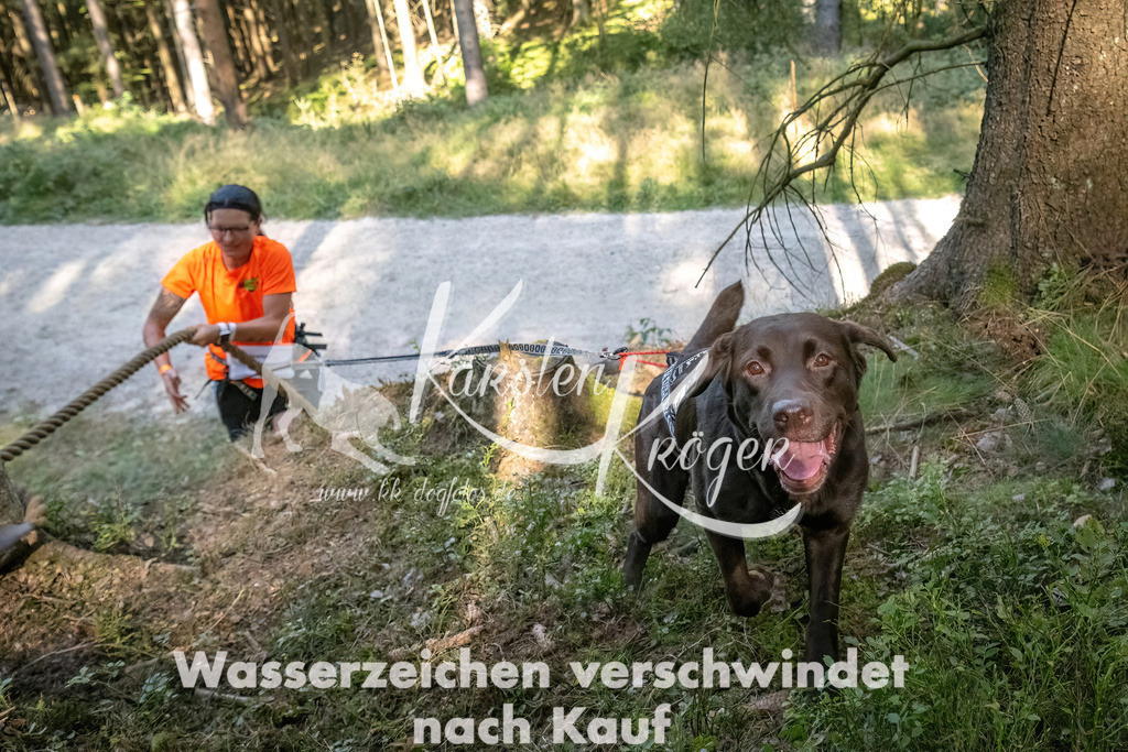1058_ZZ93891 | kk-dogfotos