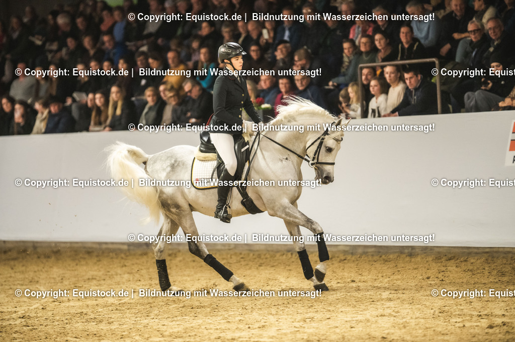 20240302_Hengstvorstellung_Marbach_TOMsPiC_1008 | equistock