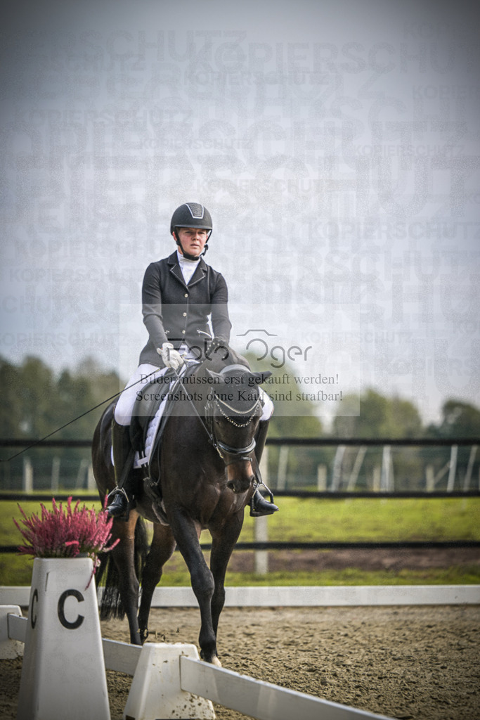 DOS_B260 | Entdecke hochwertige Reitturnierfotos von Foto Oger. Professionell, emotional und authentisch – jetzt Lieblingsmomente im Shop bestellen.Deutschlandweite Turnierfotografie. - Realisiert mit Pictrs.com