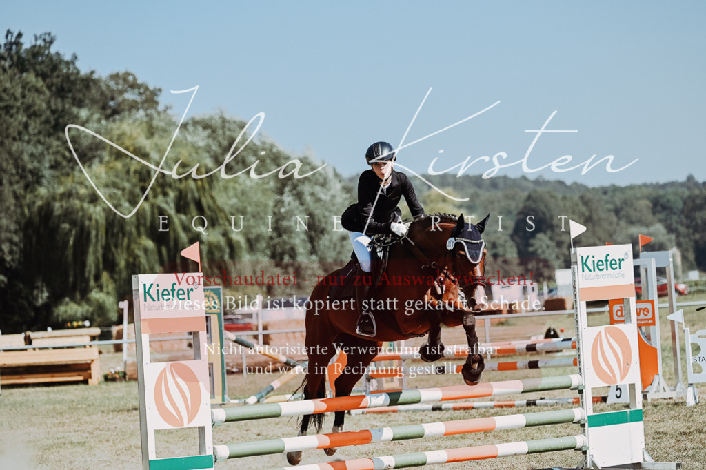DSC_9775 | Pferde- und Turnierfotografie in Westsachsen. Pferdeportraits, Auftragszeichnungen und intuitive Kunst.