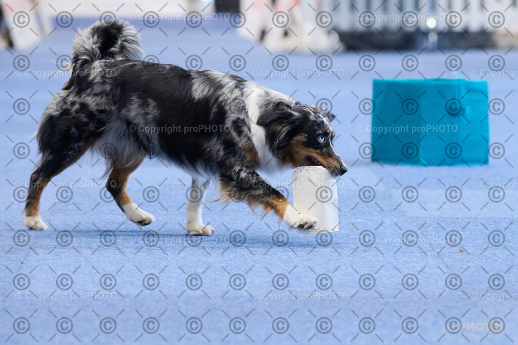 202406_ÖKV-IHA-Tulln24_DSC_4542 | proPHOTO - Realisiert mit Pictrs.com