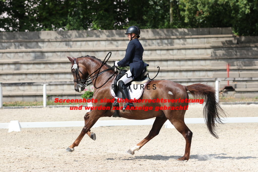 IMG_7011 | lmwpictures - Realisiert mit Pictrs.com