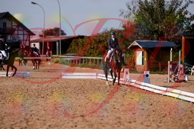 2026_10_03_Siefer-Hof_125819_Z81_48056946 | Professionelle Reitsport-, Turnier- und Eventfotografie von Robert Broda. Galerien mit ausgewählten und bearbeiteten Bildern direkt online ansehen und bestellen.