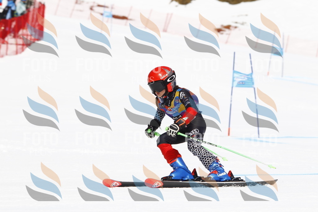 _U3G4912 | holidayphoto