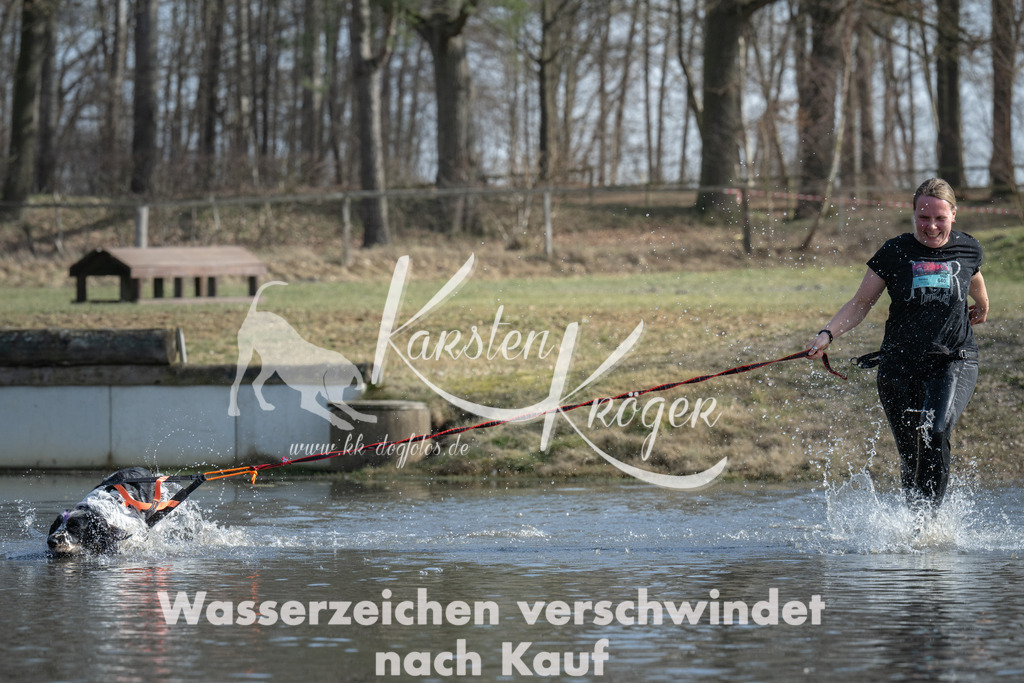 1342_ZZ97986 | kk-dogfotos