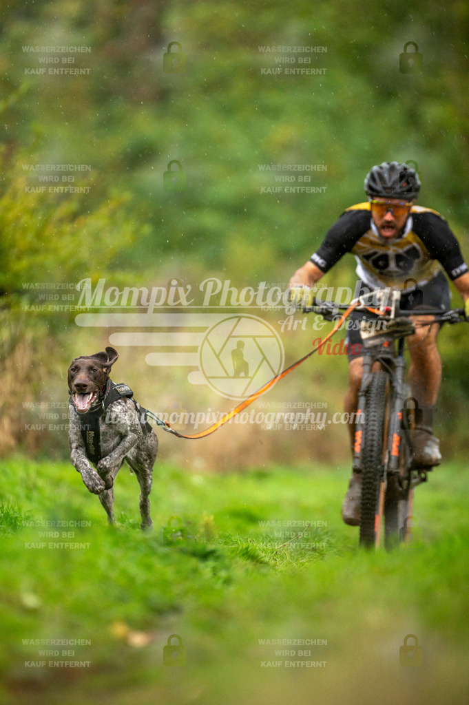 TSB_2023_E6_Bike-5 | PayLife