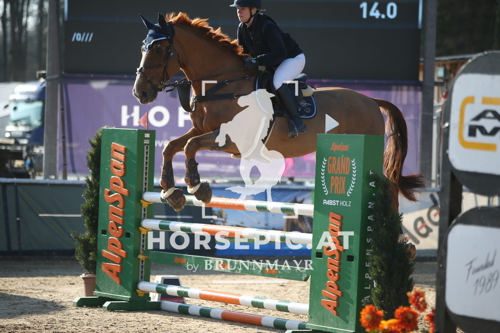 AS8V4750 | Willkommen bei Brunnmayr - Design & Fotografie – Ihrem Spezialisten für Reitturniere und Pferdeveranstaltungen in Oberösterreich, Salzburg und Bayern! Seit über 17 Jahren sind wir leidenschaftlich dabei.