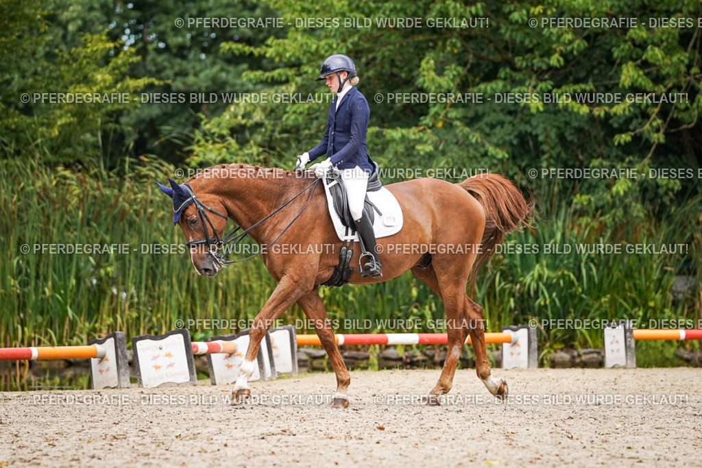 DSC02799 | Pferdegrafie