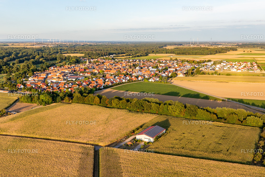 Dorfansicht aus Westen | Luftbild: Dorfansicht aus Westen in Steinweiler im Bundesland Rheinland-Pfalz in Deutschland. Foto: IMG_117463.jpg vom 06.09.2019 durch Werner Riehm/FLY-FOTO.de - Realisiert mit Pictrs.com