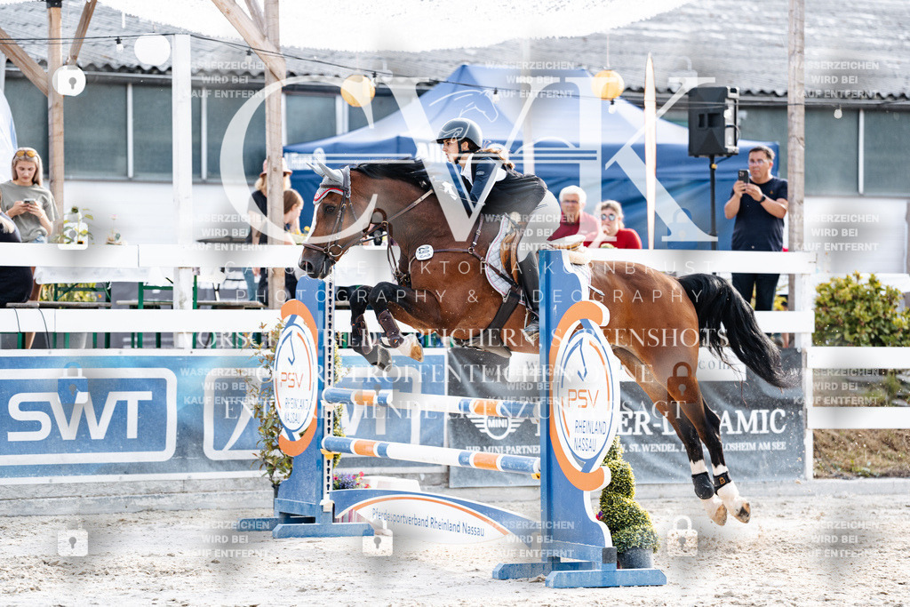 CK906874 | Turnierfotografie Pferdefotografie Trier Rheinland-Pfalz Pferdesport Reitsport Tierfotografie Sportfotografie Pferdevideo Pferdevideografie Equestrianvideography equestrianphotography  - Realisiert mit Pictrs.com