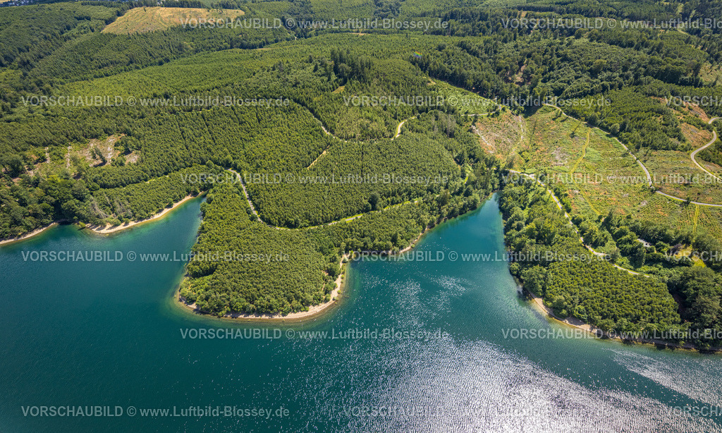 Sundern240708653 | Luftbild, Waldgebiet mit Waldschäden am Sorpesee Ufer, Blick ins Sauerland, Langscheid, Sundern, Sauerland, Nordrhein-Westfalen, Deutschland